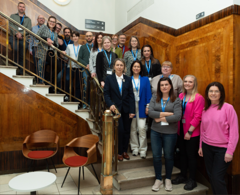 Summer School a Dublino
